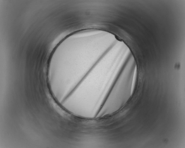 X0000113001054200909171402