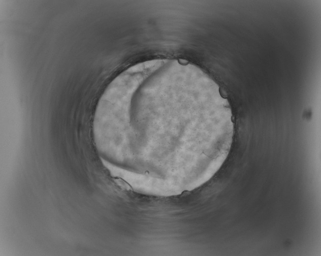 X0000113001057200909171401