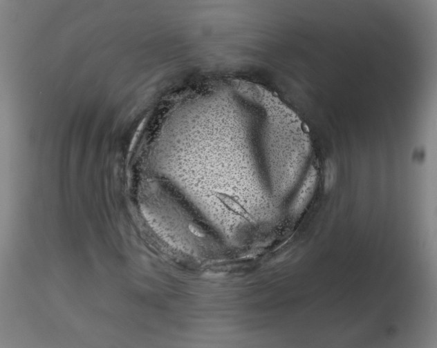 X0000113001059200909171401