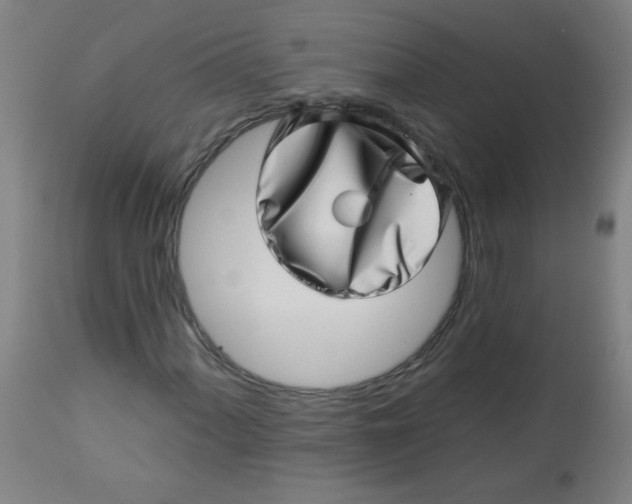 X0000113001060200909171401