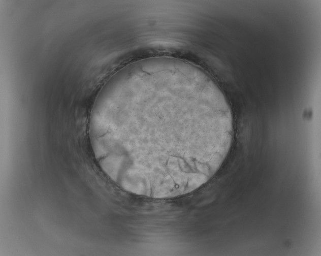 X0000113001061200909171401