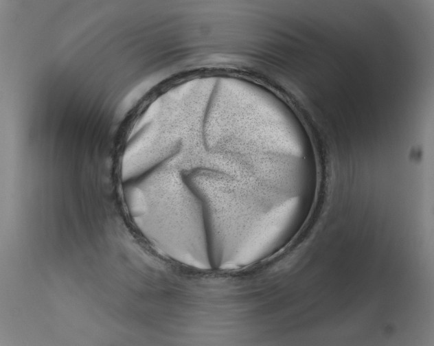 X0000113001066200909171401