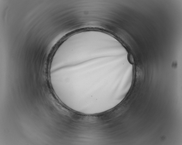 X0000113001068200909171401