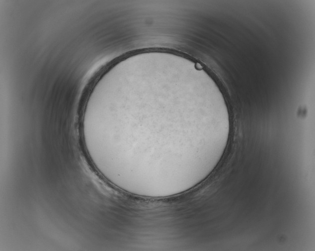 X0000113001072200909171401