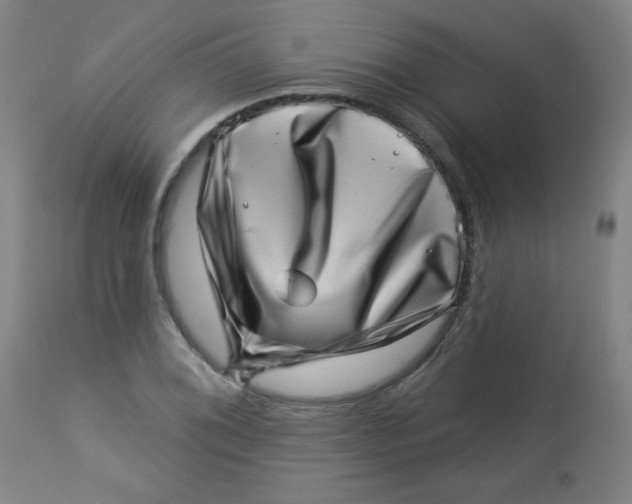 X0000113001076200909171401