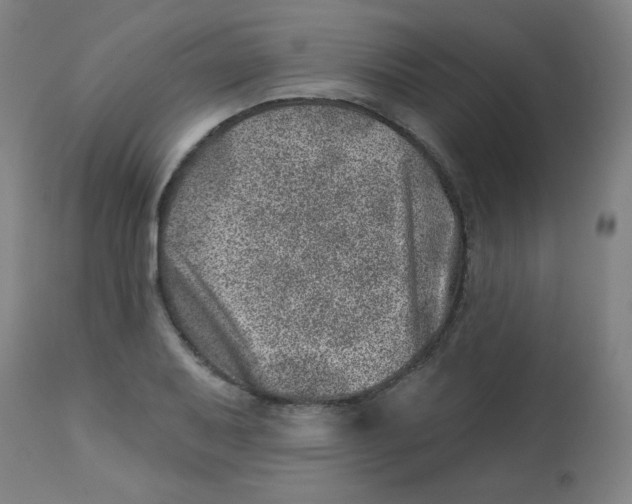 X0000113001079200909171400