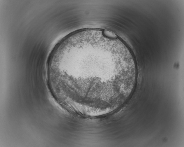 X0000113001080200909171400