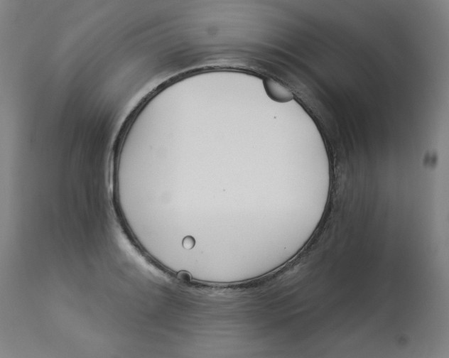 X0000113001084200909171400