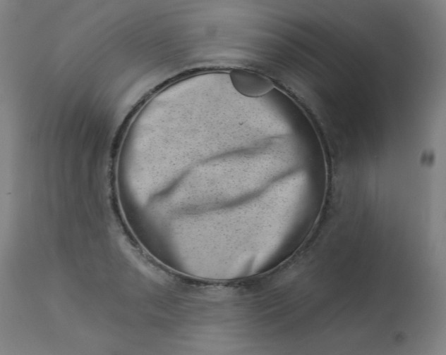 X0000113001085200909171400