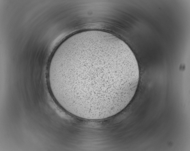 X0000113001086200909171400