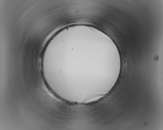 X0000113001092200909171400