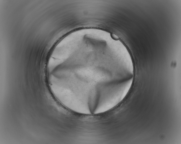 X0000113001093200909171400