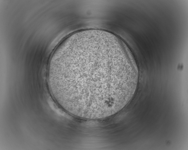 X0000113001094200909171400