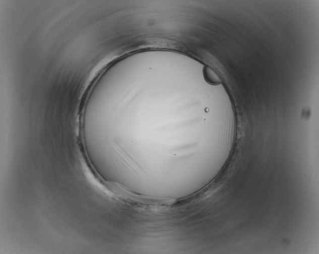 X0000113001095200909171400