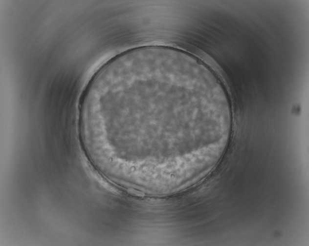 X0000113001096200909171400