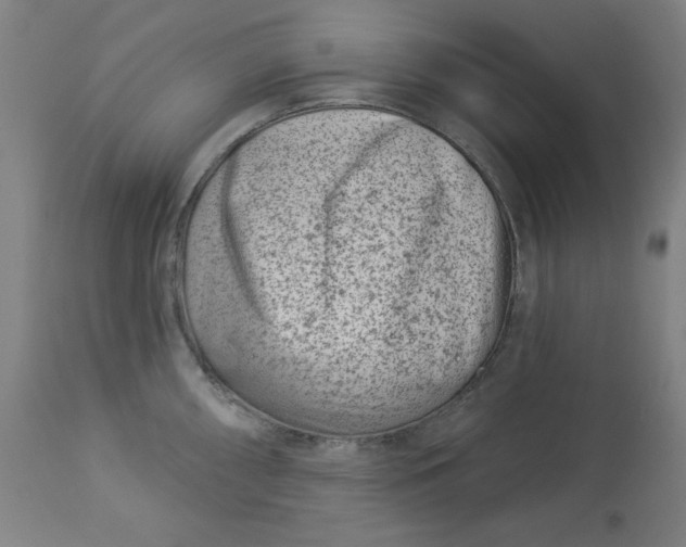 X0000113001098200909171400