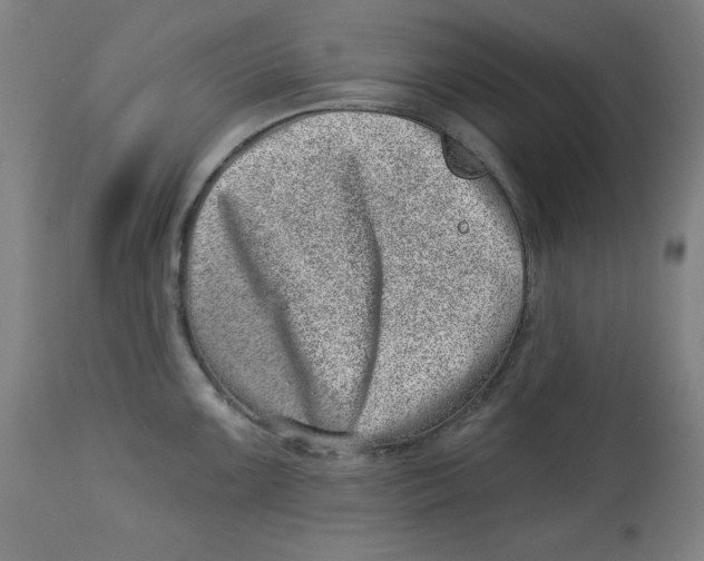 X0000113001099200909171400