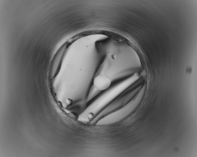 X0000113001101200909171400