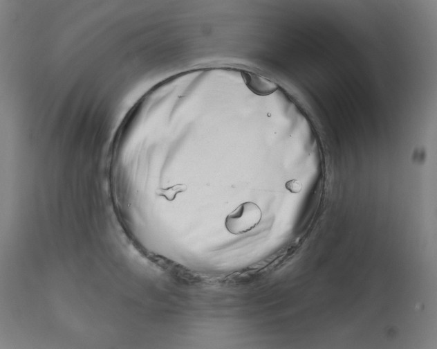 X0000113001102200909171400