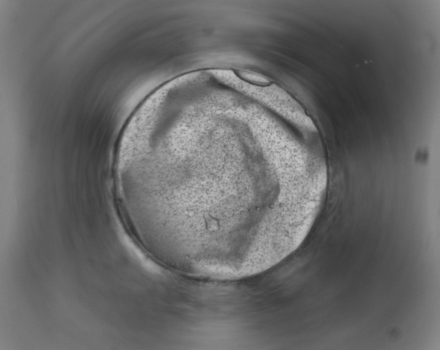 X0000113001103200909171400