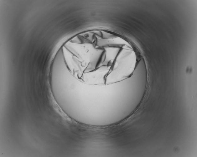 X0000113001104200909171400