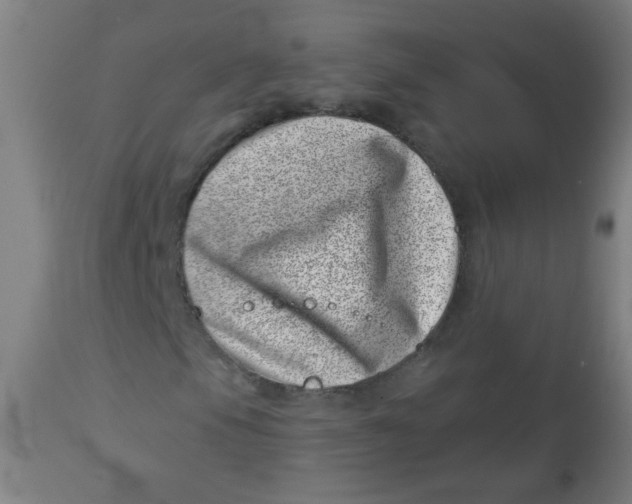 X0000113001105200909171359