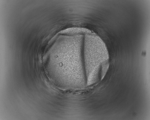 X0000113001106200909171359