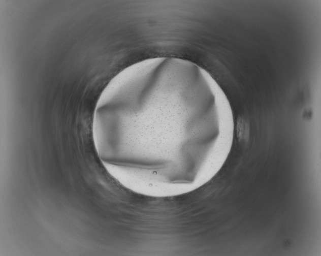 X0000113001107200909171359