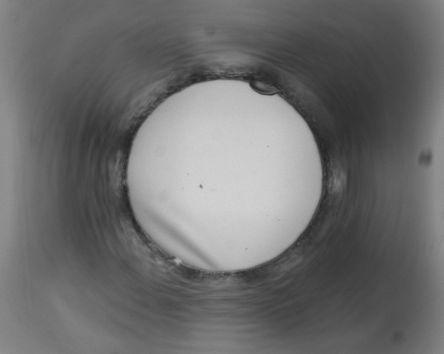 X0000113001108200909171359