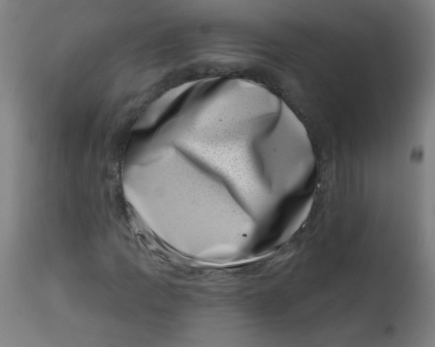 X0000113001109200909171359