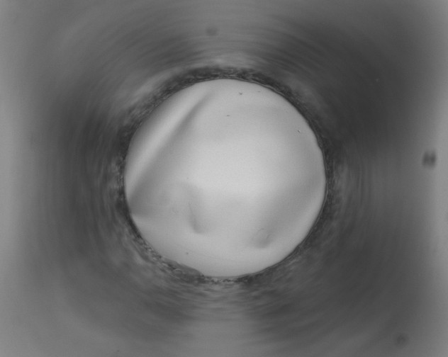 X0000113001110200909171359