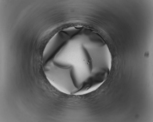 X0000113001111200909171359