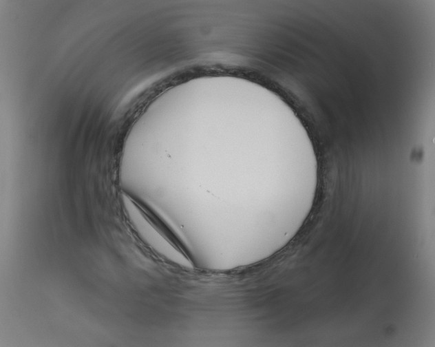 X0000113001112200909171359