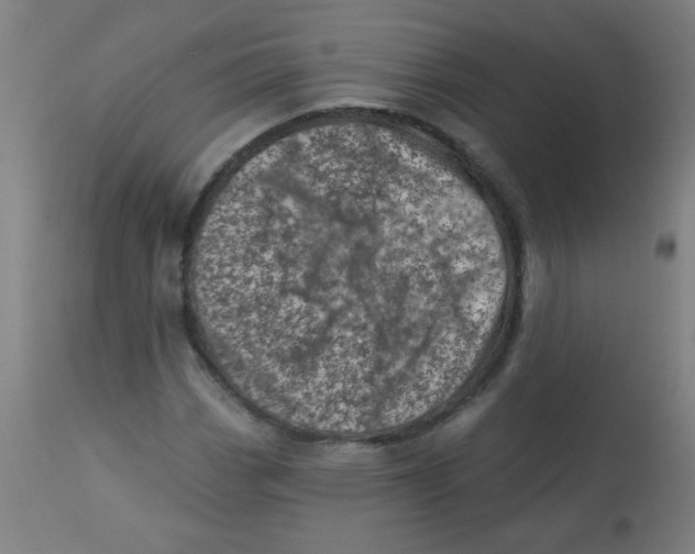 X0000113001113200909171359