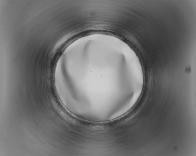 X0000113001114200909171359