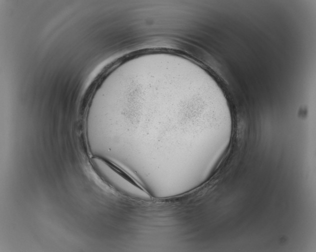 X0000113001116200909171359