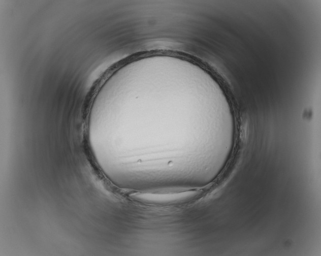 X0000113001117200909171359