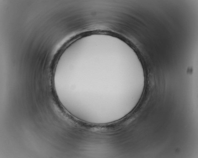 X0000113001118200909171359