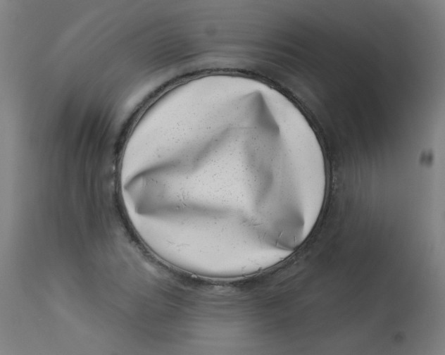 X0000113001119200909171359