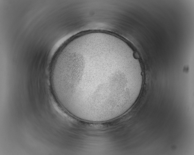 X0000113001120200909171359