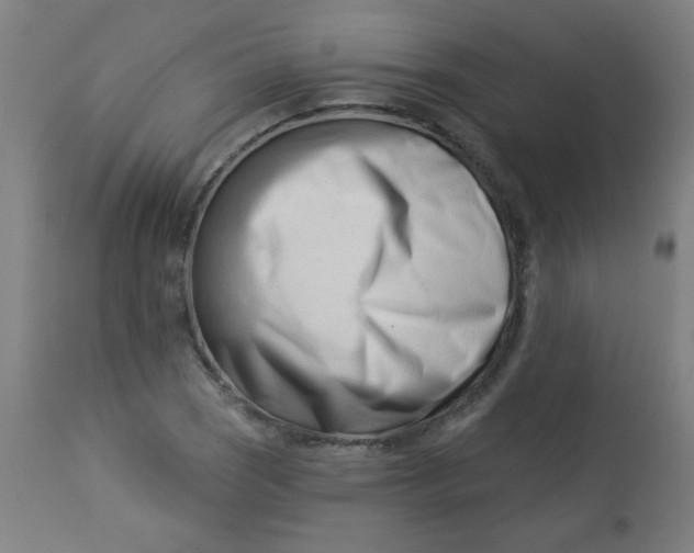 X0000113001121200909171359