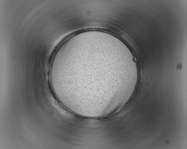 X0000113001124200909171359