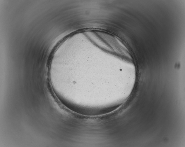 X0000113001125200909171400