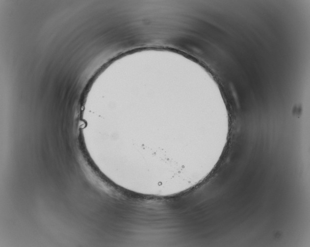 X0000113001126200909171400