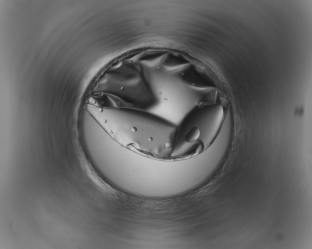 X0000113001128200909171400