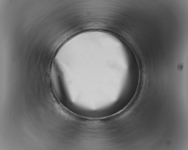 X0000113001129200909171400