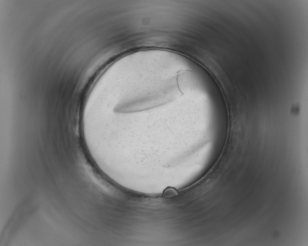 X0000113001131200909171400