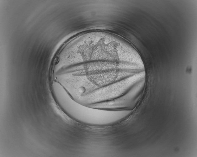 X0000113001132200909171400