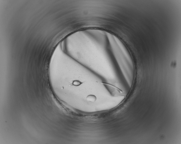 X0000113001137200909171400