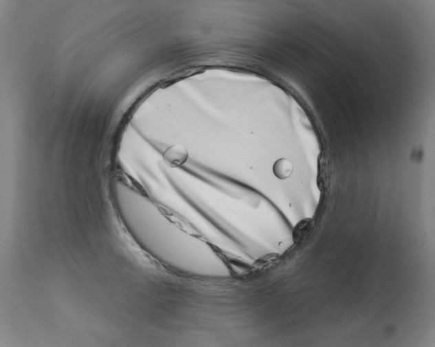 X0000113001138200909171400